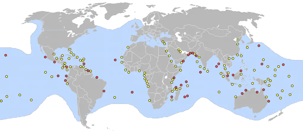 Where do Green Sea Turtles live?