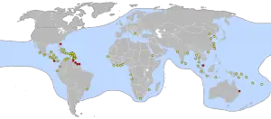 Where Do Leatherback Sea Turtles Live?