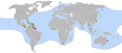 where-do-leatherback-sea-turtles-live