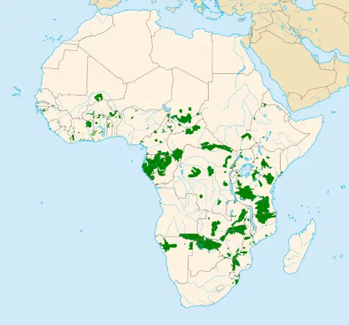 where do african elephants live map